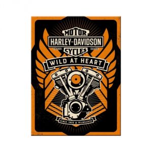 Magnete Harley Davidson motor