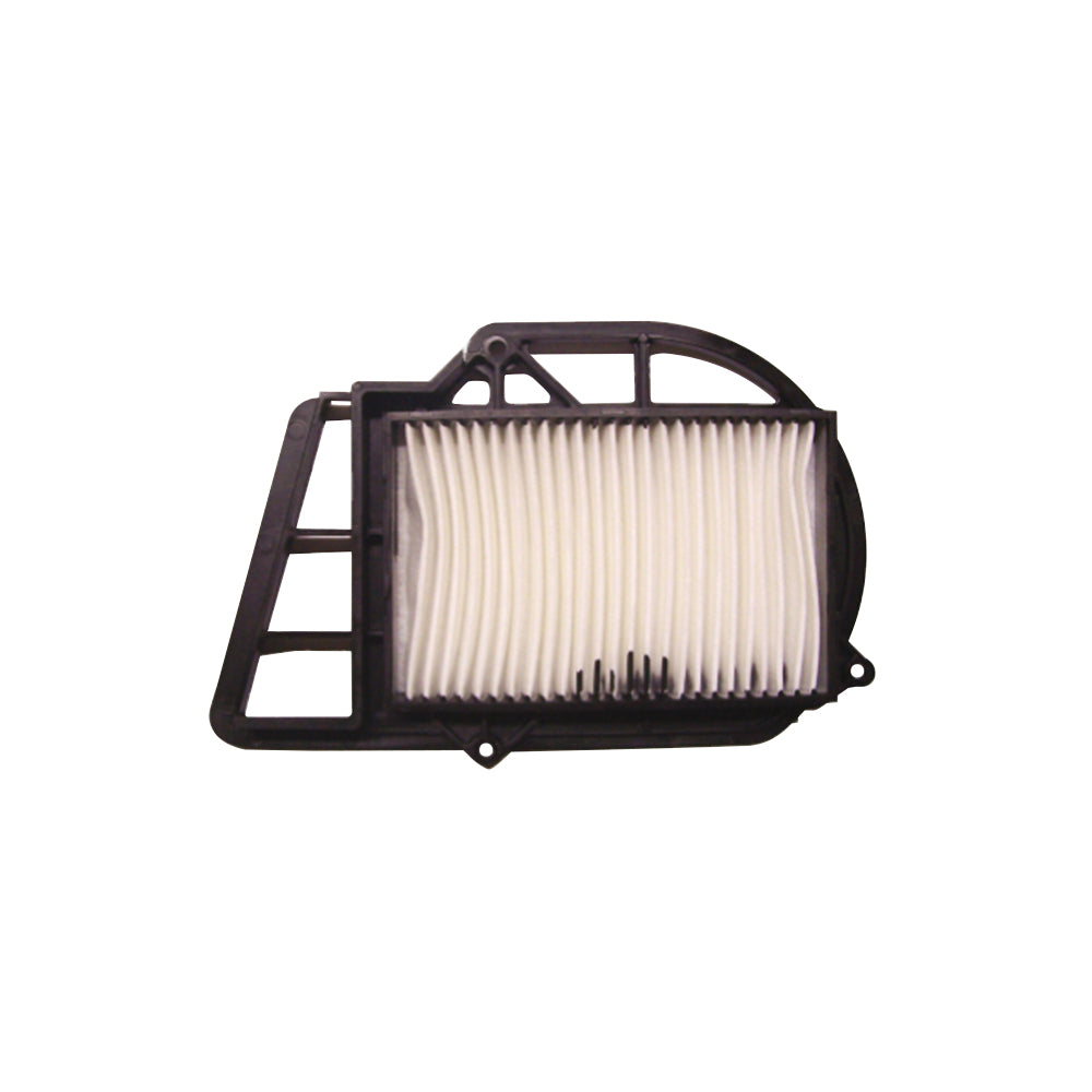 Filtro Aria (Variatore) MALAGUTI/MBK SKYLINER/YAMAHA X-MAX 250cc